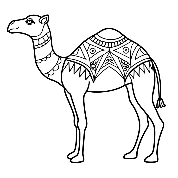 Vector decorative tribal camel illustration black and white