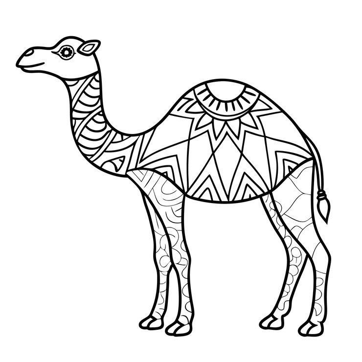 Vector decorative tribal camel line art illustration