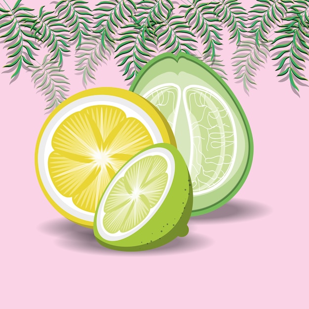 decorative tropical leaves and lemon slices 