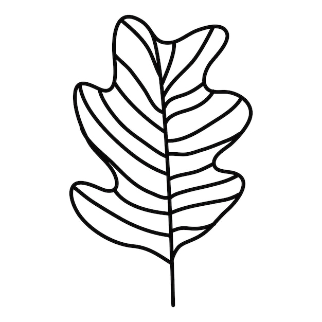 Decorative twigs of plants with leaves drawn with lines in the style of line art isolated on a white