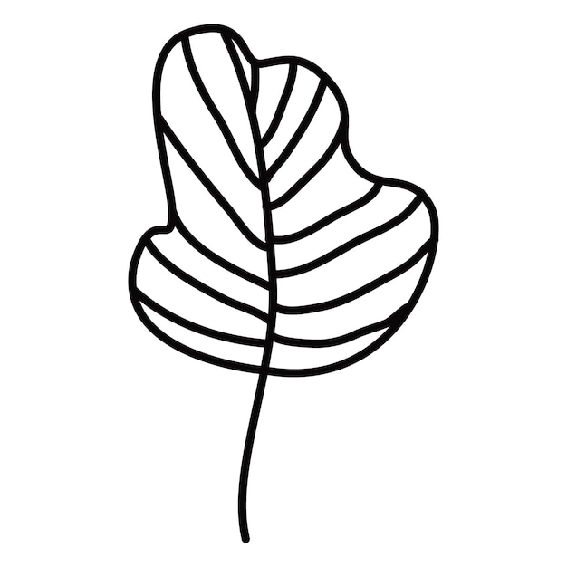 Decorative twigs of plants with leaves drawn with lines in the style of line art isolated on a white