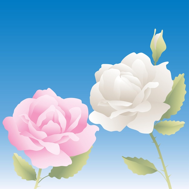 Decorative vector image with two delicate roses on blue background