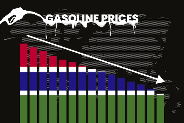 감비아 휘발유 가격 하락 변화와 유가 변동성