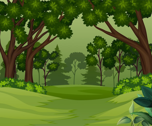 Vector deep forest scene with trees background