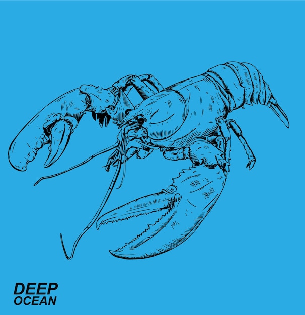 Vector deep ocean animals pack illustration