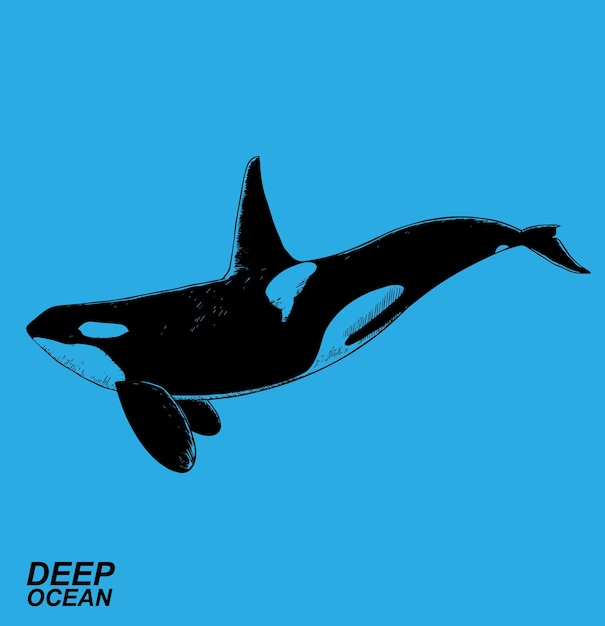 Vector deep ocean animals pack illustration