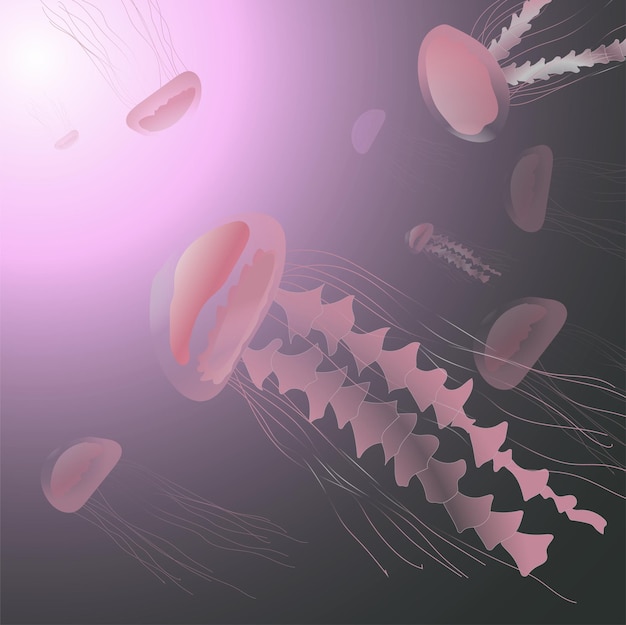 Вектор иллюстрации глубоководных розовых медуз