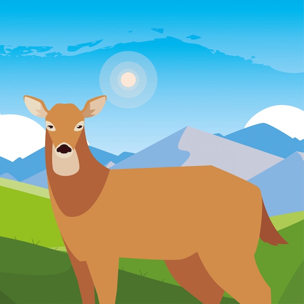 Deer animal in a natural landscape