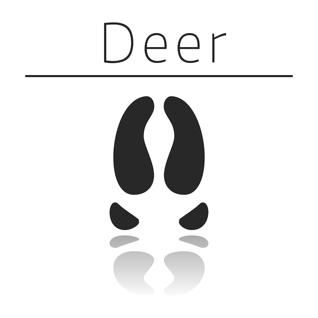 Deer animal track with name and reflection on white background