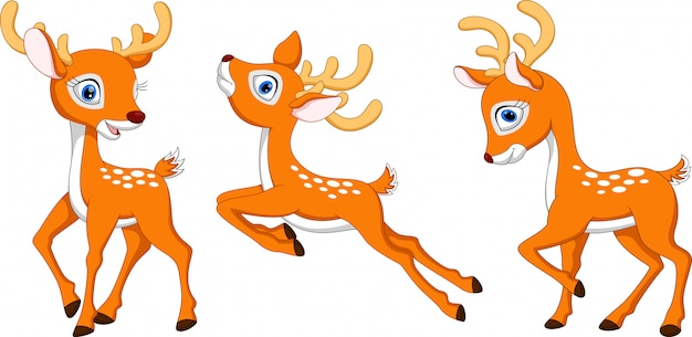 deer cartoon set collection