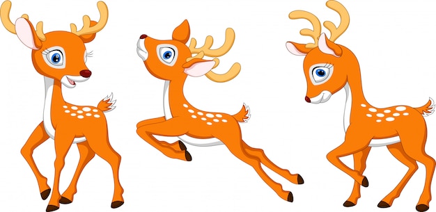 Deer cartoon set collection