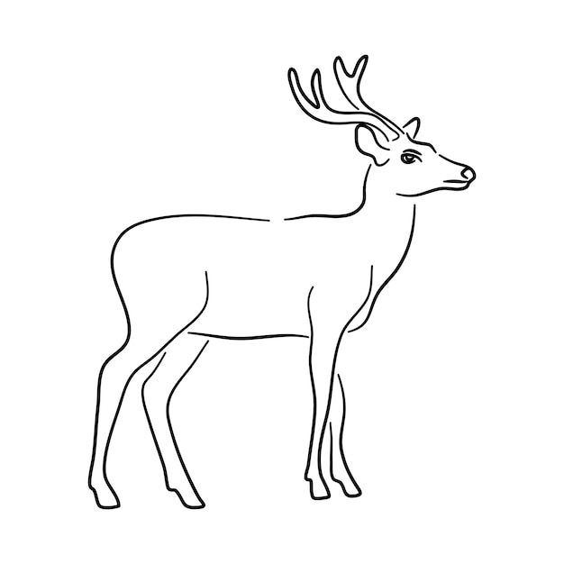 Vector deer in doodle style icons sketch hand made vector