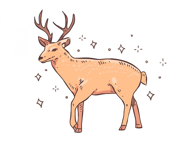 Vector deer doodle