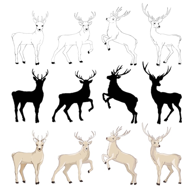 Vector deer drawing