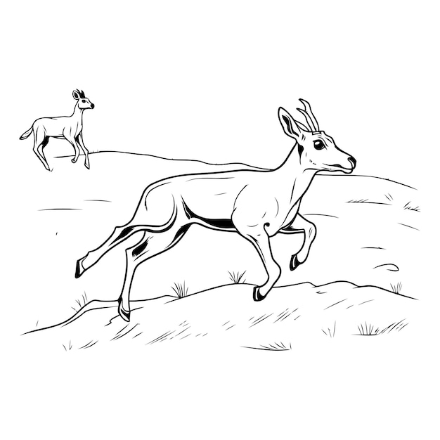 Олень на поле Черно-белая векторная иллюстрация в стиле эскиза