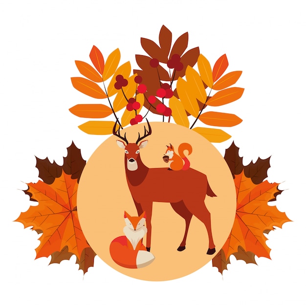 Vector deer fox and squirrel happy autumn season