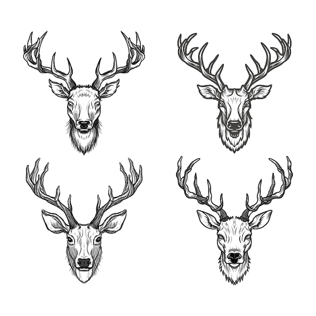 Vector deer head collection