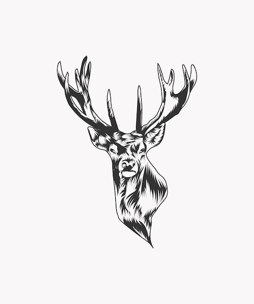 Vector deer head drawing vector