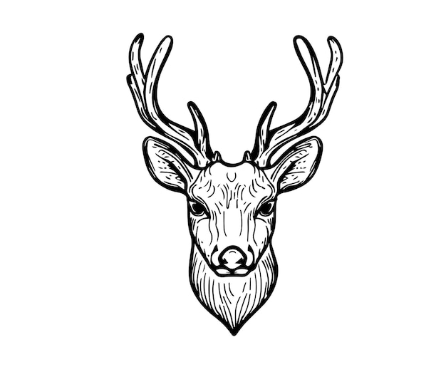 Vector deer head vector art deer illustration