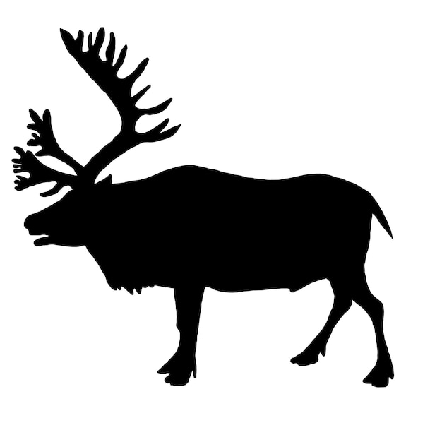 Vector deer icon black silhouette of caribou