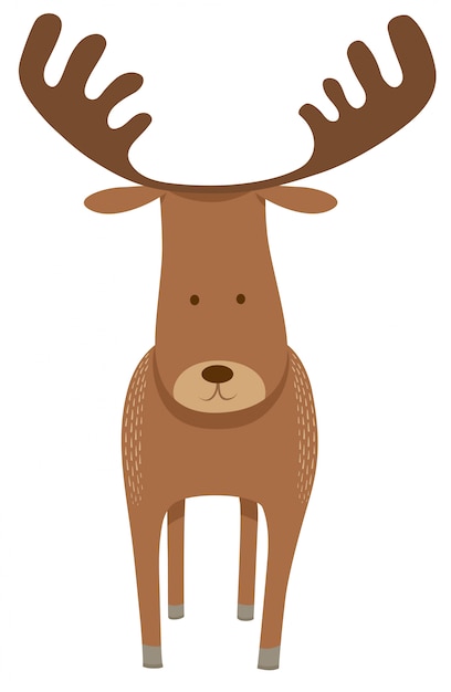 Deer or moose cartoon animal character