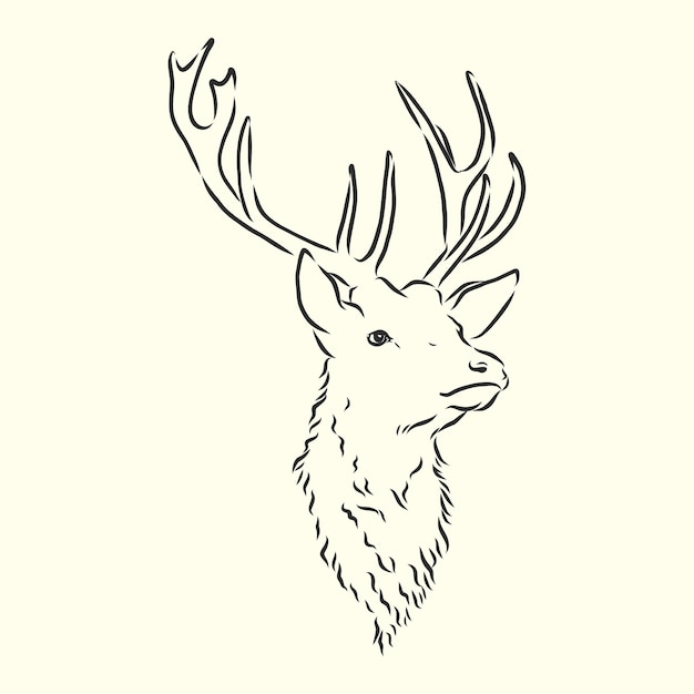 Deer portrait portrait of a deer deer head vector sketch illustration