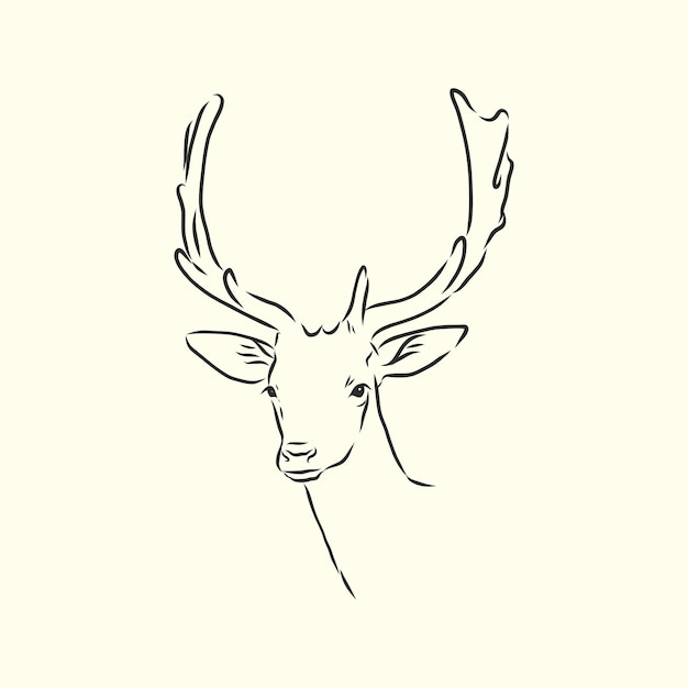 Vector deer portrait portrait of a deer deer head vector sketch illustration