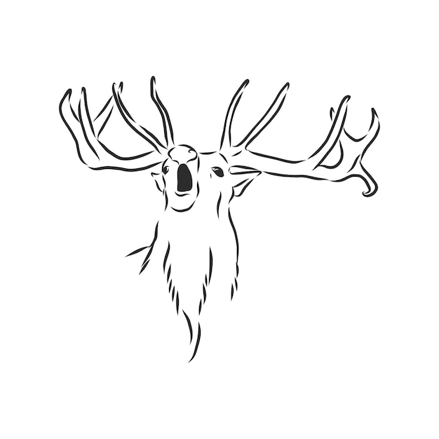 Vector deer portrait   portrait of a deer deer head vector sketch illustration