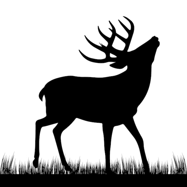 Vector deer silhouette vector