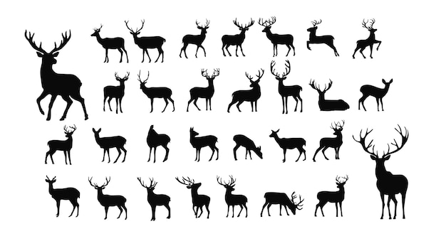 Vector deer silhouette wild deers male female and roe deer