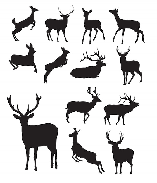 Vector deer silhouette