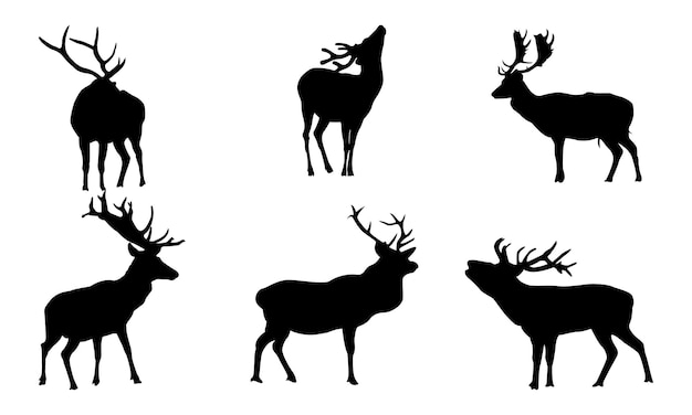 Deer silhouettes including fawn, doe bucks and stags in various poses.