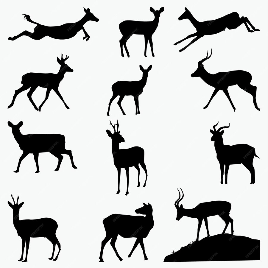 Косуля силуэт