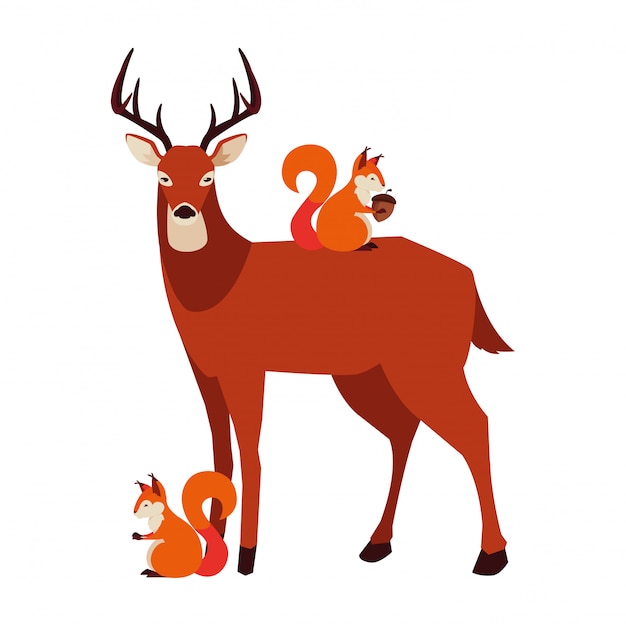 Deer and squirrel animals