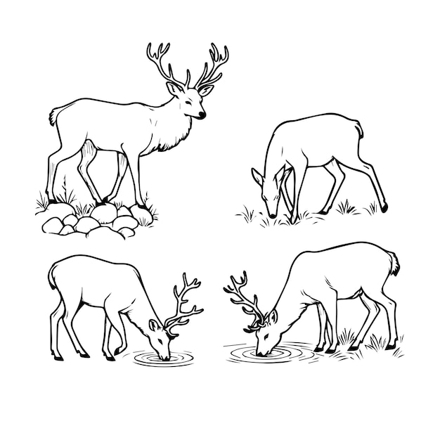 Vector deer vector illustratie voor het kleuren