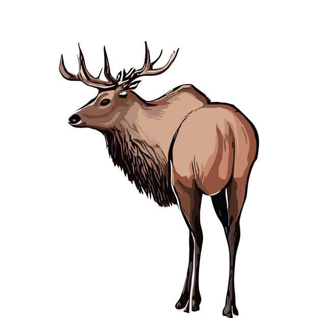 Vector deer vector illustration for t shirt