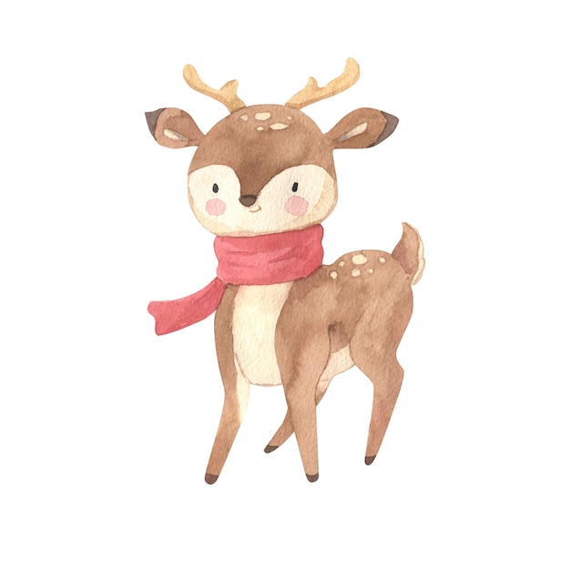 Deer watercolor illustration for kids