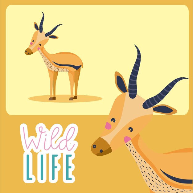 Deer wildlife animal cute cartoon