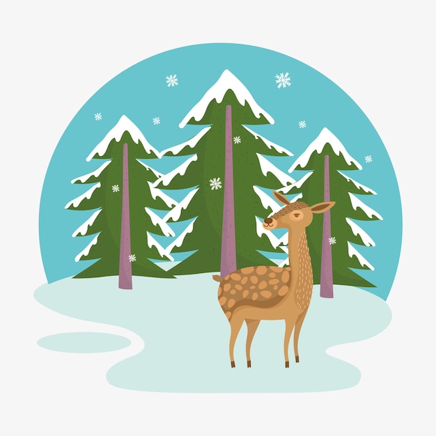 Deer winter scene