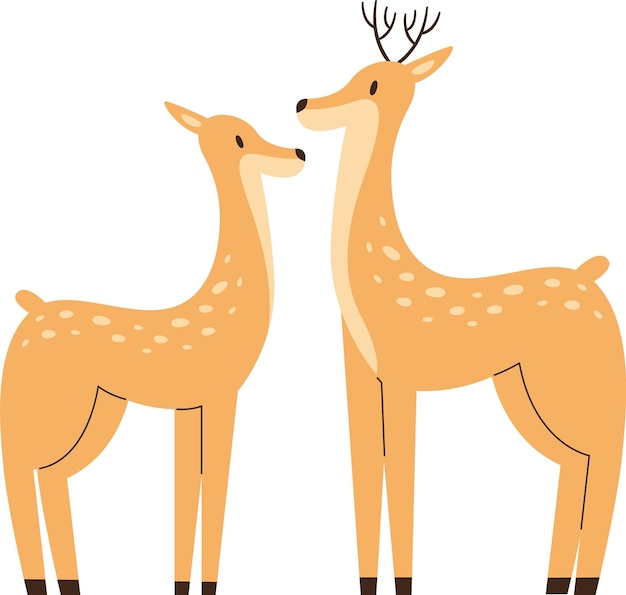 Deers Couple Animals