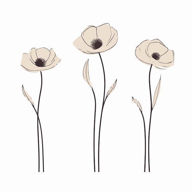 Delicate anemone illustrations in different poses suitable for botanical prints