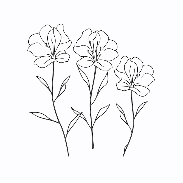 Delicate azalea illustrations symbolizing grace and femininity