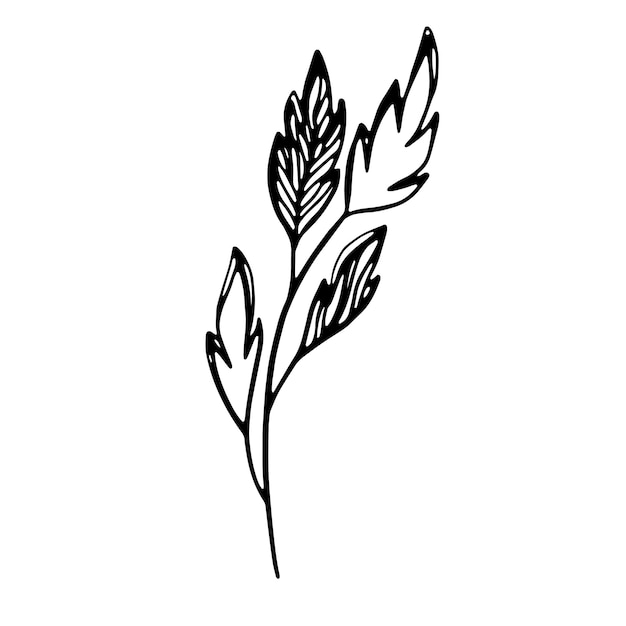 Нежный черно-белый набросок листьев Векторная иллюстрация в стиле ручной работы