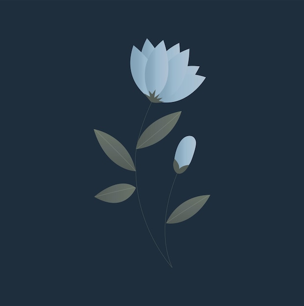 delicate blue flower on a dark background