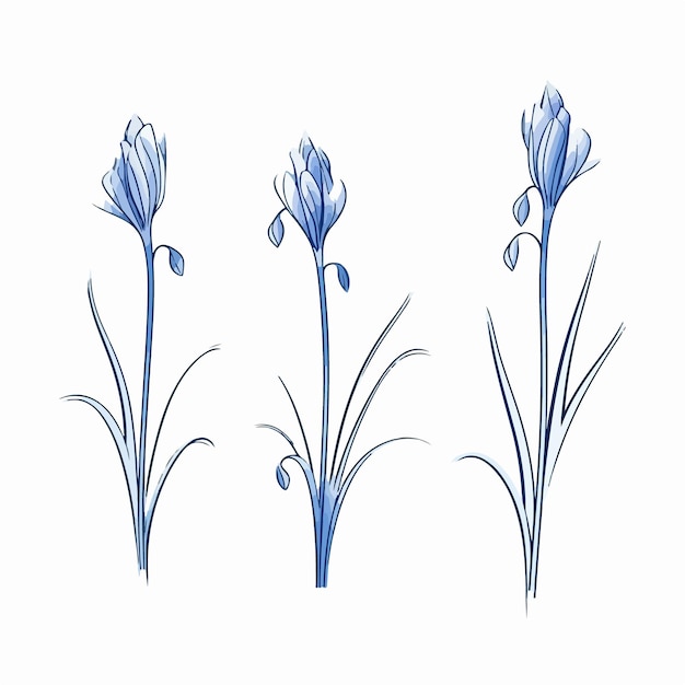 Delicate bluebell illustraties die natuurlijke schoonheid en sereniteit symboliseren