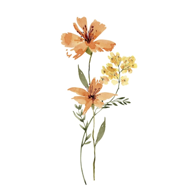 delicate bouquet of orange flowers, watercolor illustration.