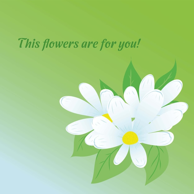 delicate card with daisies in vector