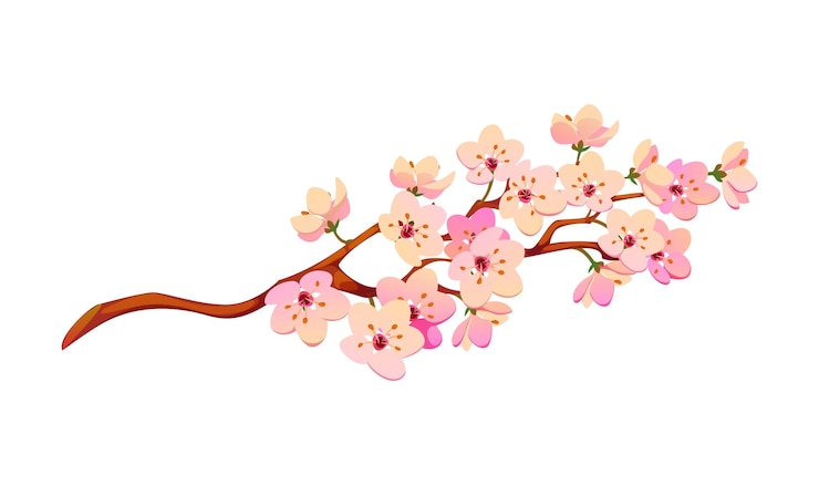 Vector delicate cherry sakura blossom branch with flowers