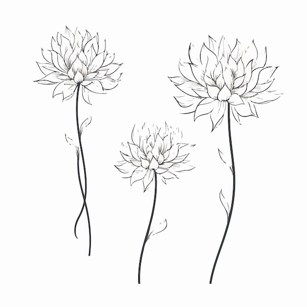 Delicate dahlia schets illustratie