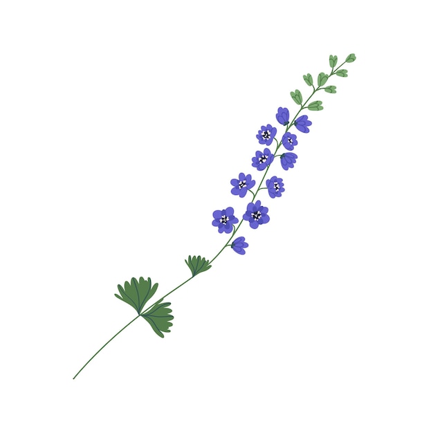 흰색 배경에 분리된 보라색 꽃이 있는 섬세한 delphinium 나뭇가지. 화려한 식물 꽃 요소입니다. 다채로운 평면 벡터 일러스트 레이 션.